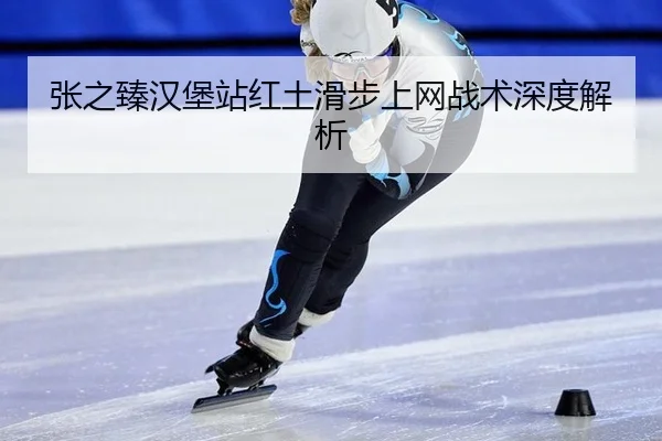 zhang-zhi-zhen-han-bao-zhan-hong-tu-hua-bu-shang-wang-zhan-shu-shen-du-jie-xi-2-315.jpg