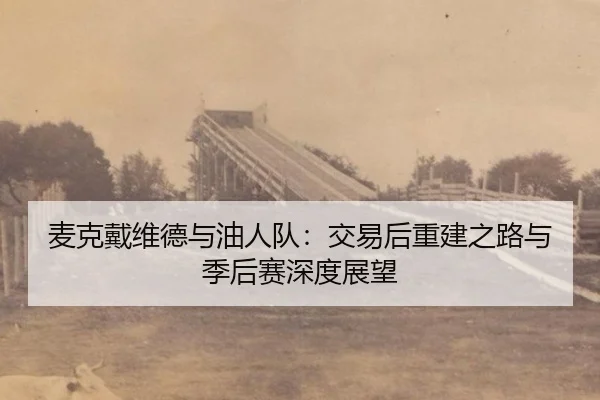 mai-ke-dai-wei-de-yu-you-ren-dui-jiao-yi-hou-chong-jian-zhi-lu-yu-ji-hou-sai-shen-du-zhan-wang-2-919.jpg