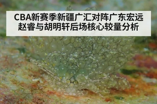 CBA新赛季新疆广汇对阵广东宏远赵睿与胡明轩后场核心较量分析