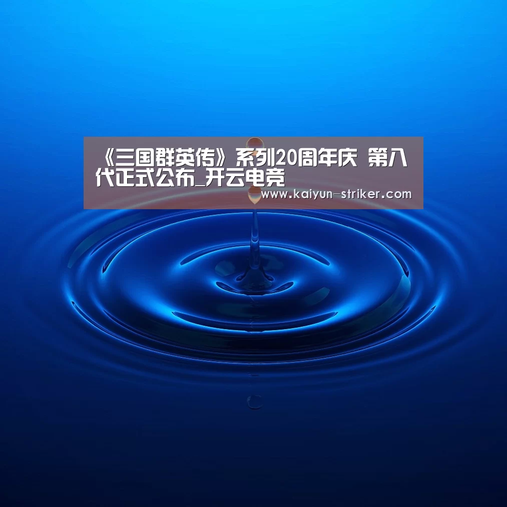 《三国群英传》系列20周年庆 第八代正式公布_开云电竞